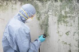 Trusted Wetherington, OH Mold Removal Experts